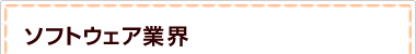 ソフトウェア業界